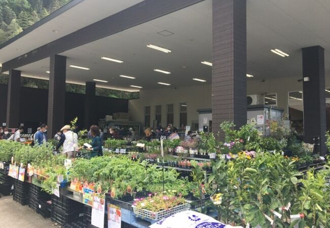 JAあいち豊田 グリーンセンター 松平店