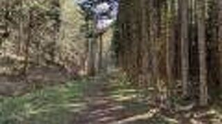 北海道らしい景観