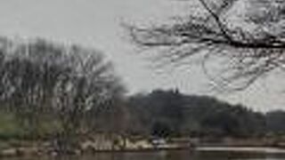 梅や桜、花見の名所