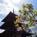 田舎の風景に溶け込む素朴な寺院