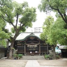 木々ののびのび育った、緑豊かな神社。