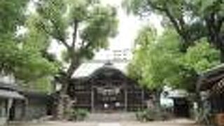 この地を見守る。