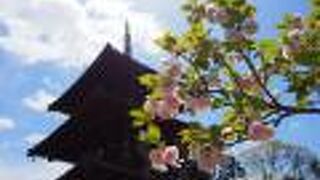 田舎の風景に溶け込む素朴な寺院