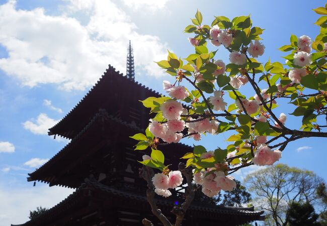 田舎の風景に溶け込む素朴な寺院