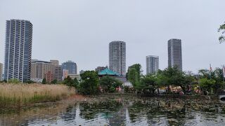 サッカー場13面以上もあります