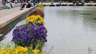 新緑が美しかったです