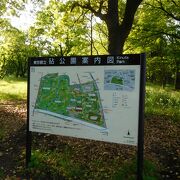 広々とした緑豊かな公園