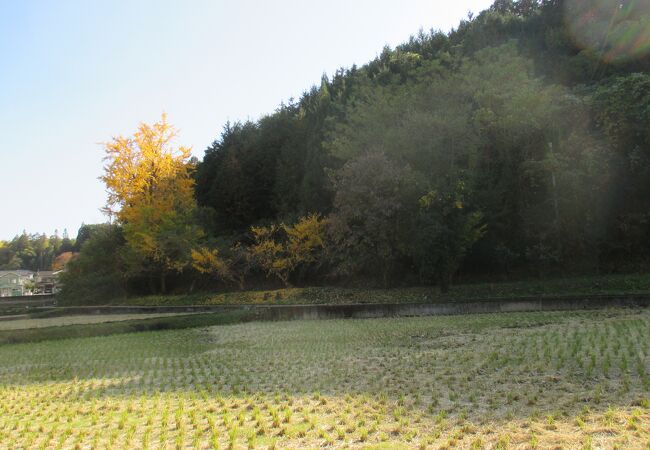 法恩寺山古墳群