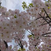 季節ごとの植物を楽しめる