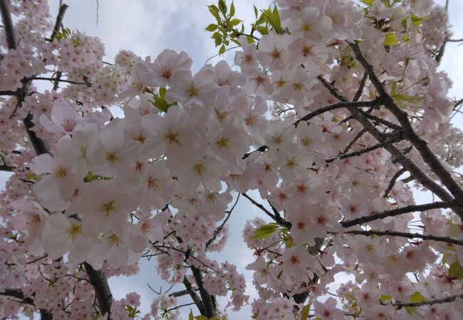 季節ごとの植物を楽しめる