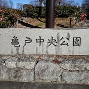 広大な敷地の公園