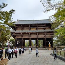 修学旅行生もやって来ます