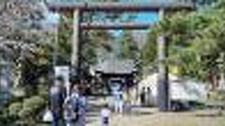 さくら祭りのときに行きました。飲食可能地域だったので出店が多く出てました。