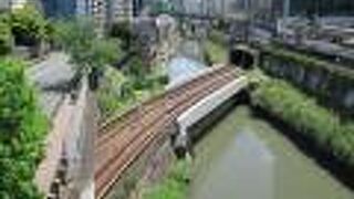 都心では珍しい全面開渠の川です