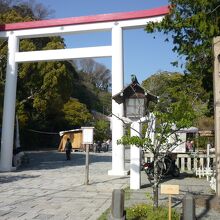 ここが入口。とても立派な鳥居です。