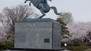 桜が凄く綺麗な公園でした。