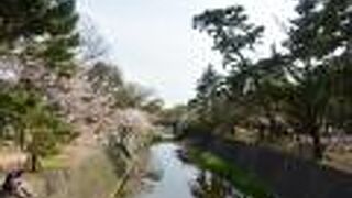 川沿いに桜並木。
