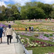 横浜市、乾坤の里山ガーデンです。是非、足をお運び下さい。