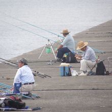 銚子漁港の釣客
