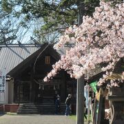 令和4年4月29日～5月5日、花手水