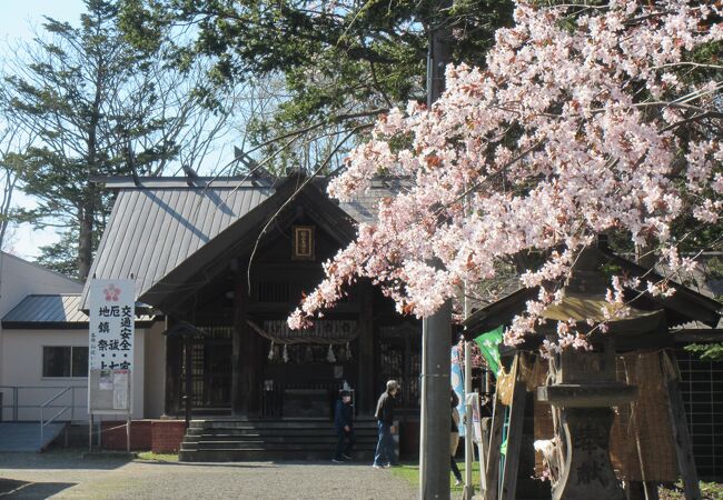 令和4年4月29日～5月5日、花手水