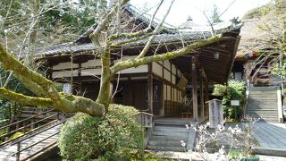 コロナ禍の影響もあって広い境内をのんびりと見学