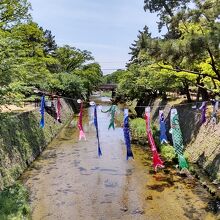 夙川公園（鯉のぼり）