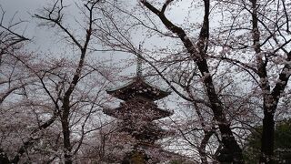 桜の時期は特に絶景です