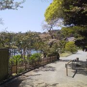 広大な日本庭園