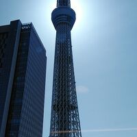 部屋から見上げると全景が！