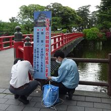 五代祭りの準備に忙しそうでした