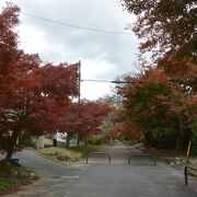 紅葉の穴場。