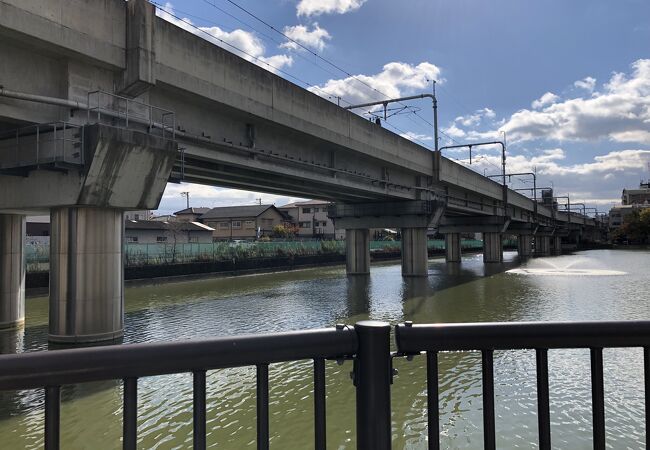 大きな池のある公園。池の上をJRの線路が通る。