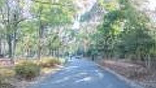 売店はオープンしていました