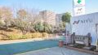 木場公園の本当にすぐそばにあって、別の公園にする必要があるのか疑問に思うくらいです