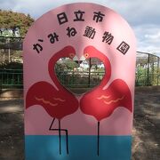 ほのぼのした動物園