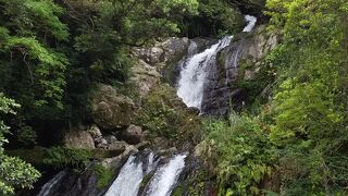 ガチで見ごたえありの滝