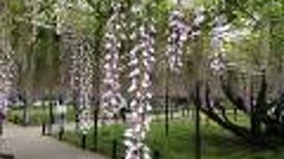 事前のチェックは大切です