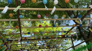 今年も春の床もみじ特別公開をしています。風車や風鈴がありました！