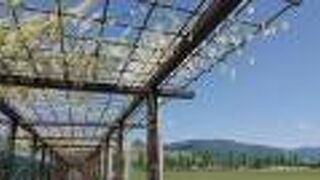 赤坂スポーツ公園