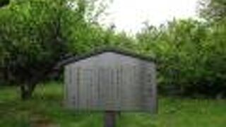 広い広い赤塚公園の中にあります。