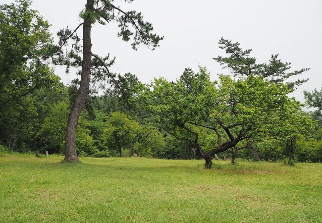 自然豊かな広大な公演　こども自然公園