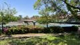 宇治の中でも最も景色が良かったです