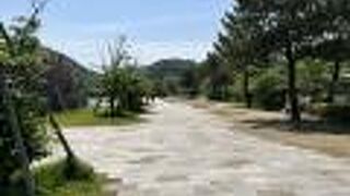 宇治川の中州の公園