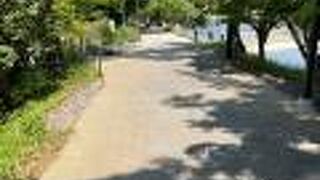 宇治川の南側の遊歩道