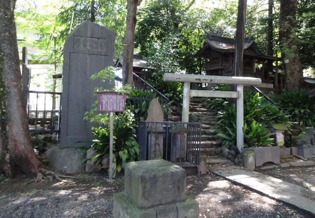 中山道沿いにある神社なのですが、境内はすごく静かです。