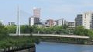 自転車・歩行者専用の斜張橋