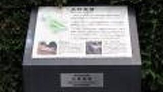 山手97番地は縄文時代からの一等地？