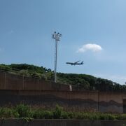 意外と空いていた