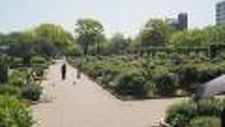 埋め立て地の造られた花壇